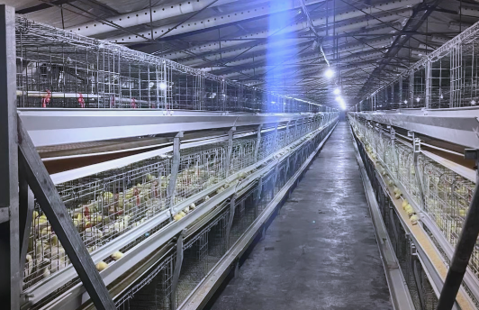 微信圖片_20251010100742_502_32 微信圖片_20251010100742_502_32